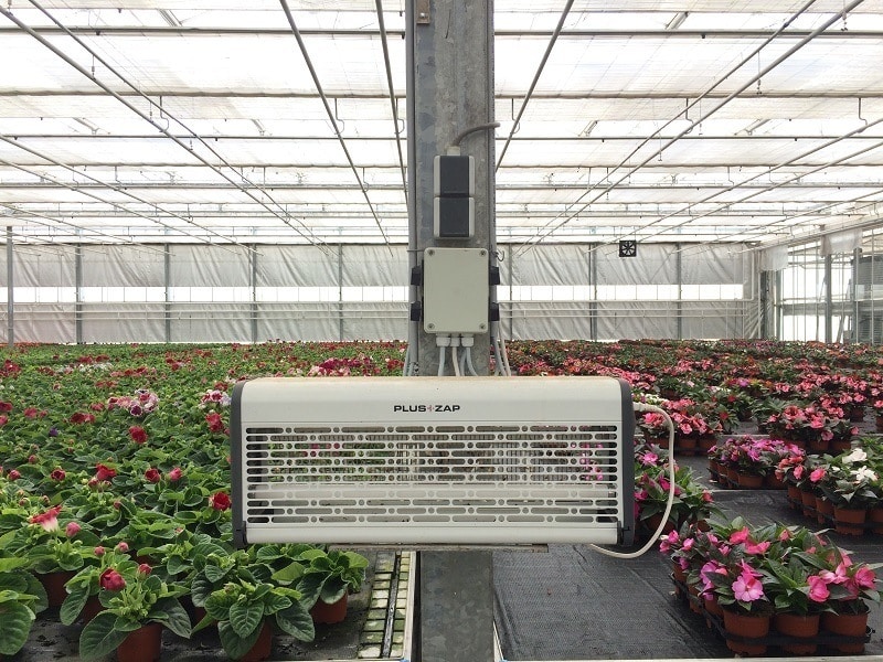 PlusZap 80 elektromos rovarcsapda, 80 W, fehér, kertészet2
